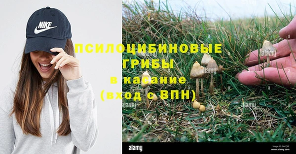 меф Надым