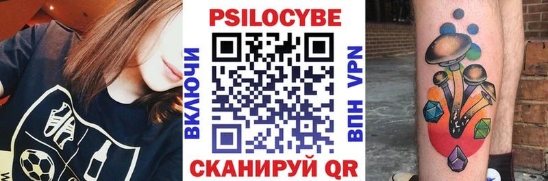 Галлюциногенные грибы Psilocybe  купить наркотики сайты  Новотроицк 